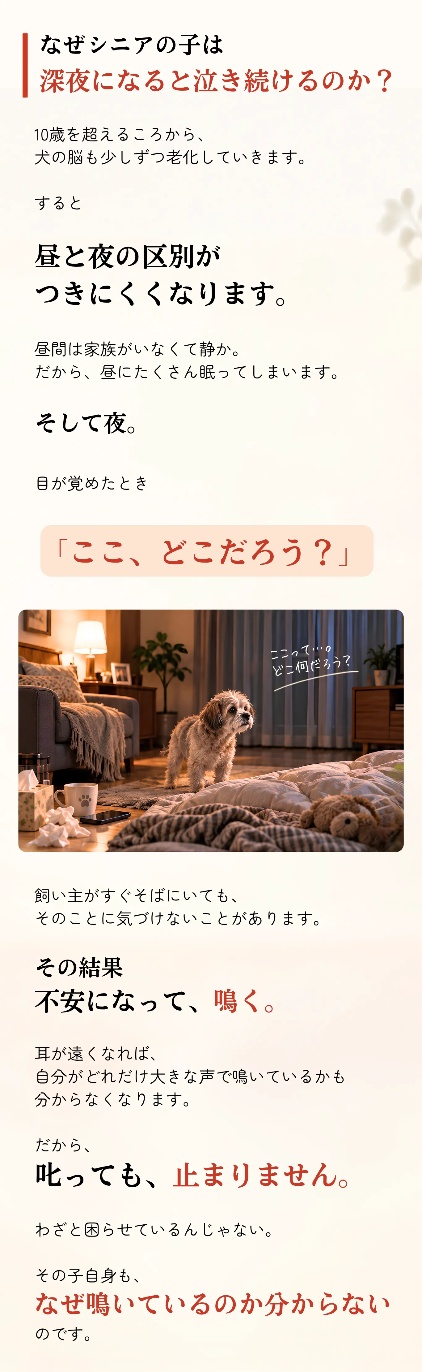 シニア犬の夜泣きの背景