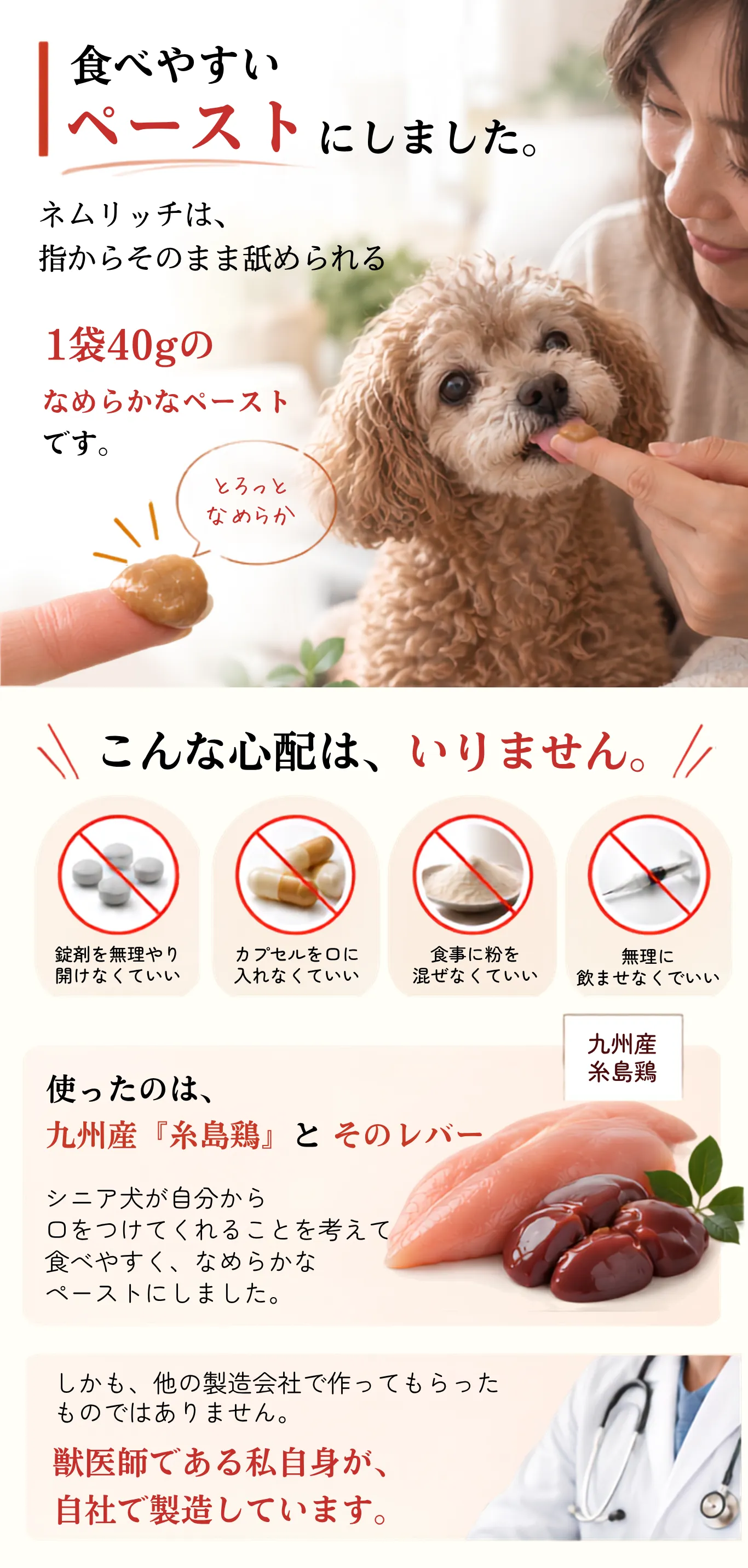 食べやすいペースト