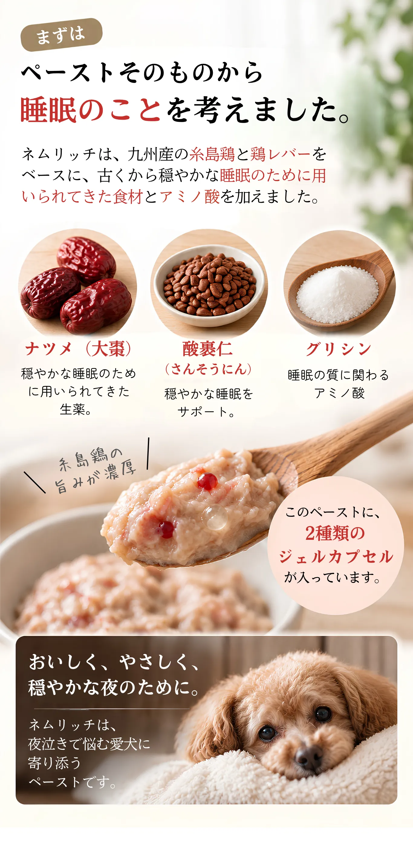 ペーストに使った素材