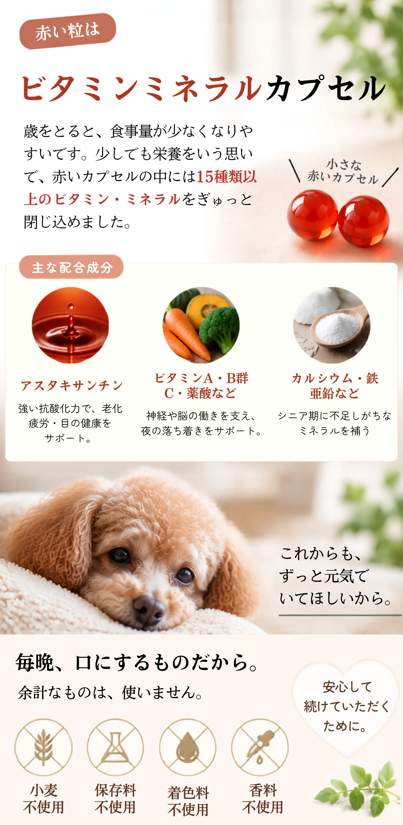 ビタミンミネラルカプセル