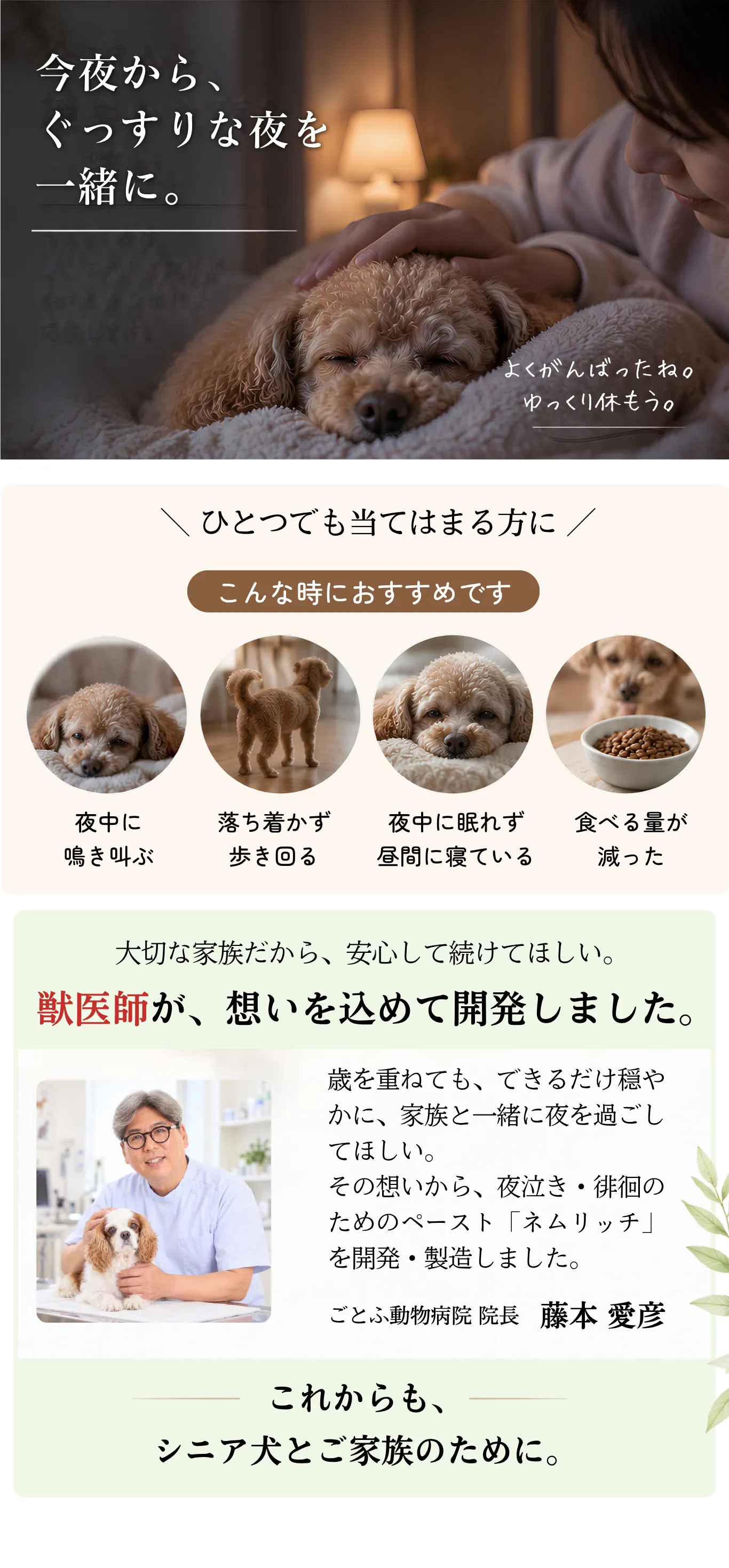 こんな子におすすめ