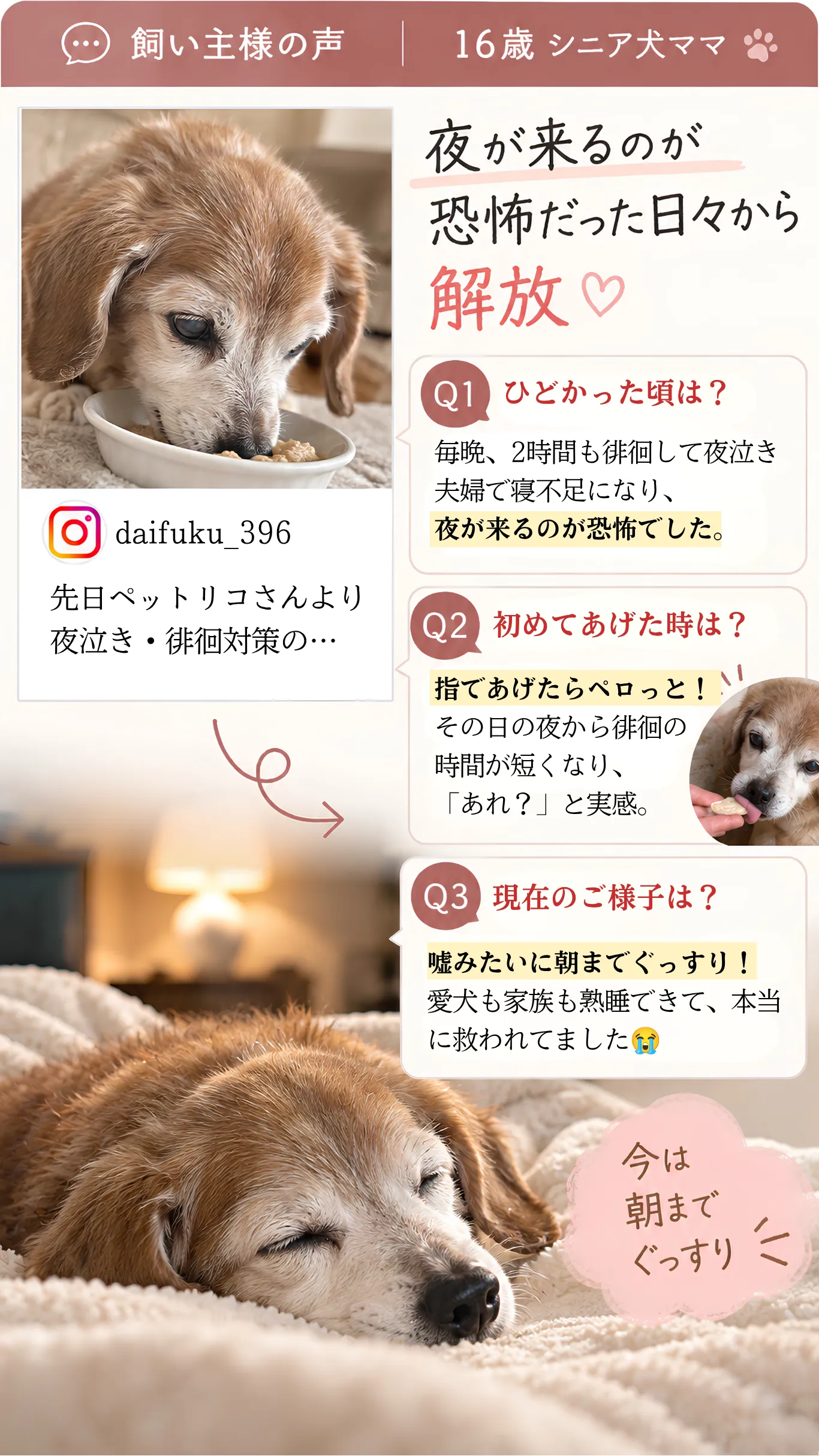 ネムリッチをご利用いただいた飼い主様の声