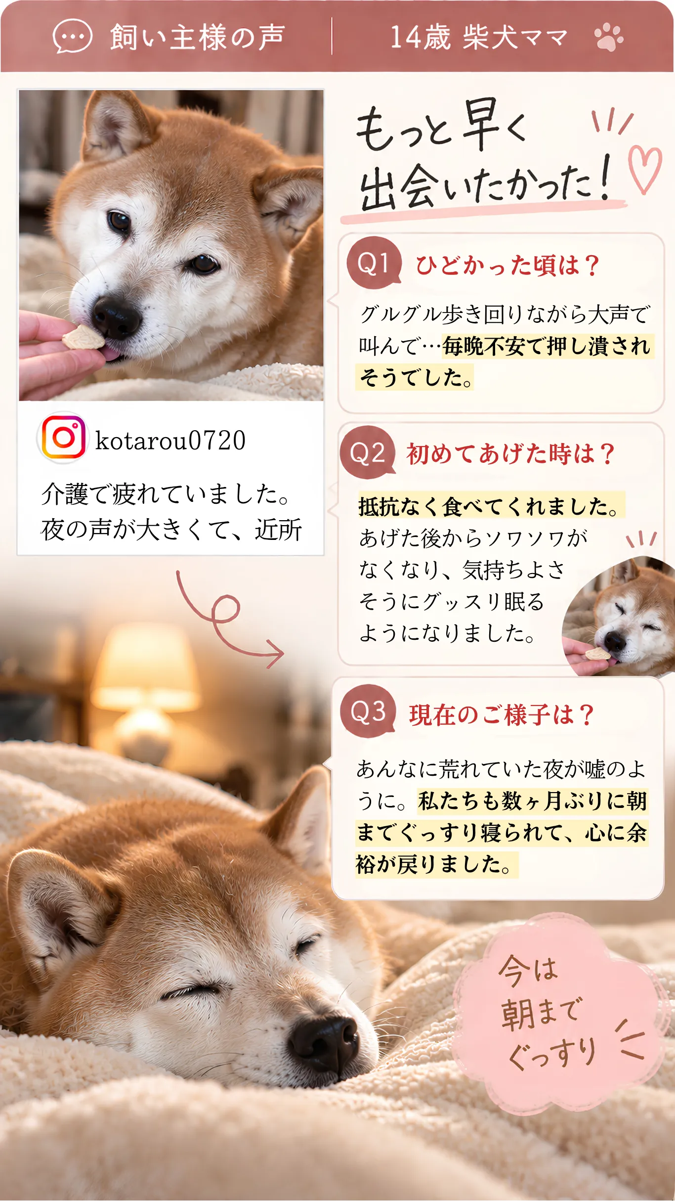 ネムリッチをご利用いただいた飼い主様の声