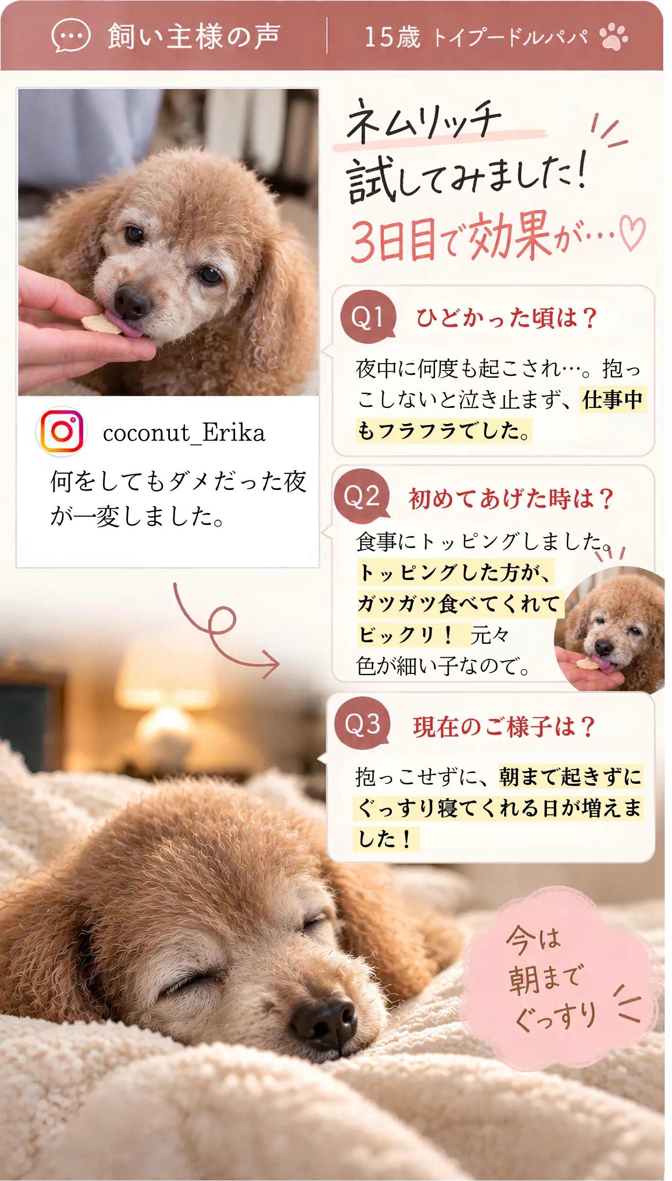 ネムリッチをご利用いただいた飼い主様の声