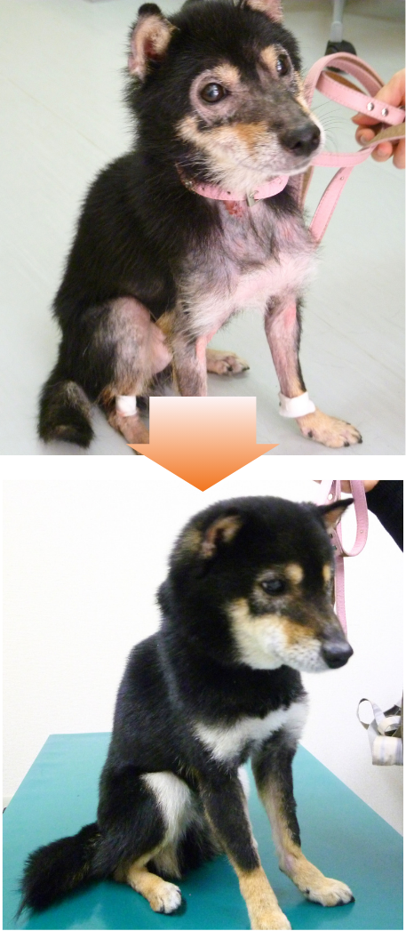 症例1のビフォーアフター写真