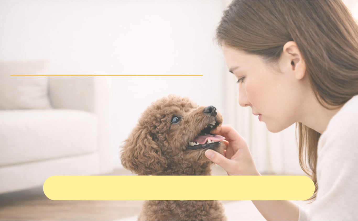 ステージB1：変化が見え始めた時期