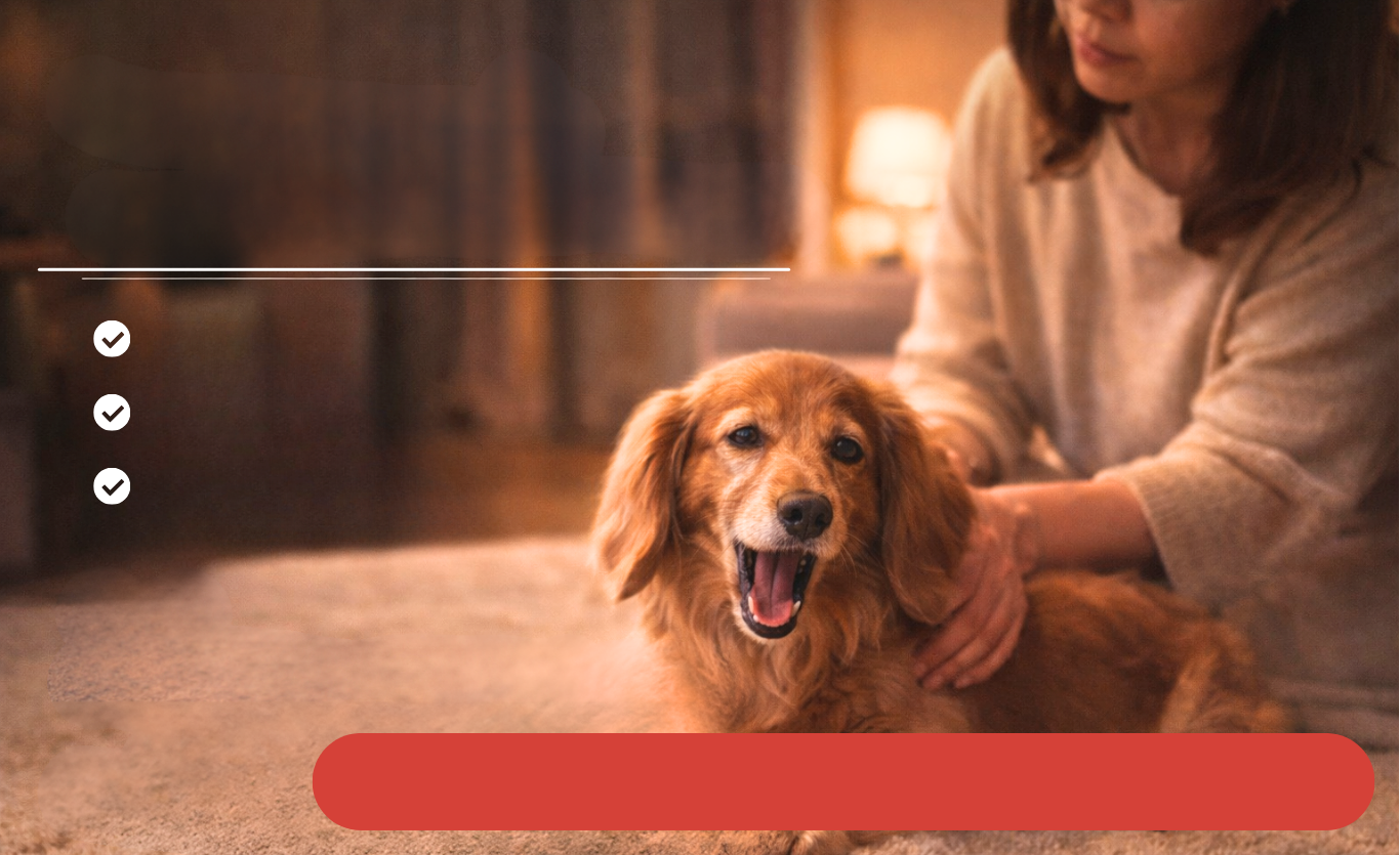 ステージC：心臓が頑張り始めた段階