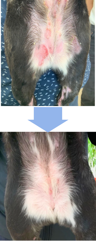 症例2のビフォーアフター写真