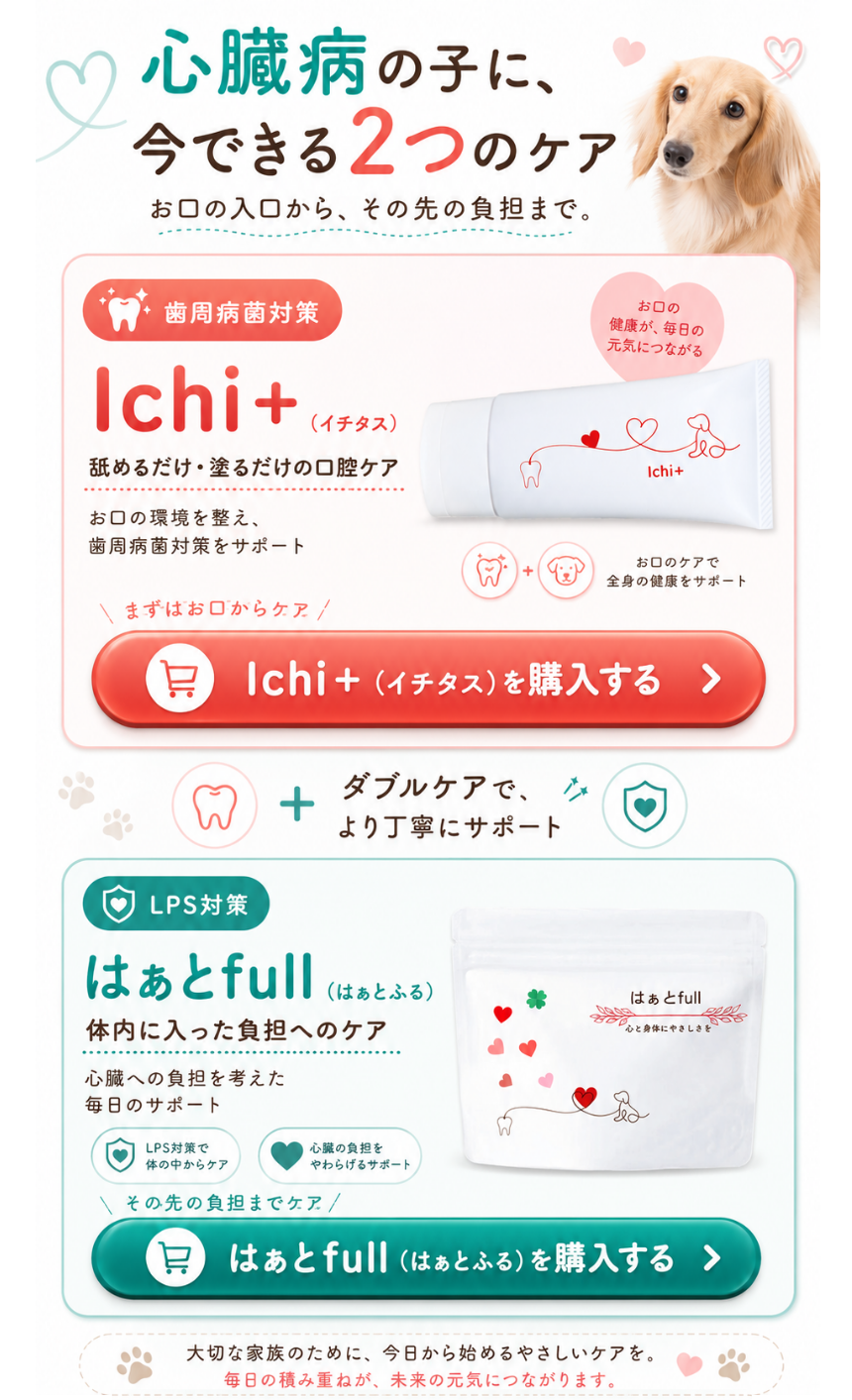 心臓病の子に今できる2つのケア