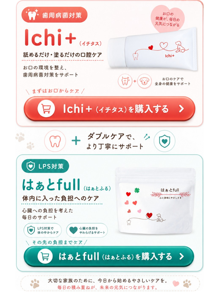 心臓病の子に今できる2つのケア