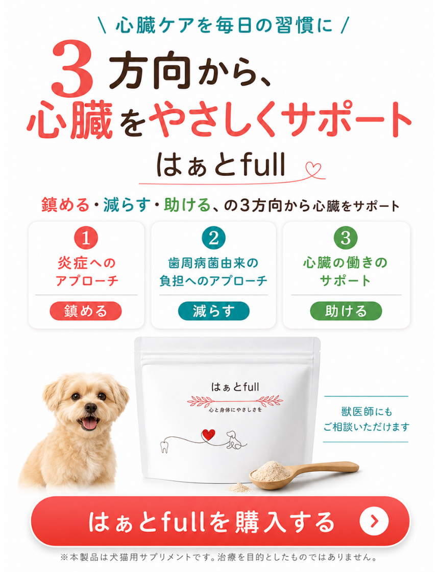 はぁとfullを購入する