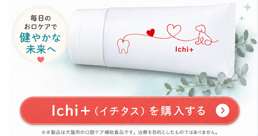 Ichi+（イチタス）を購入する