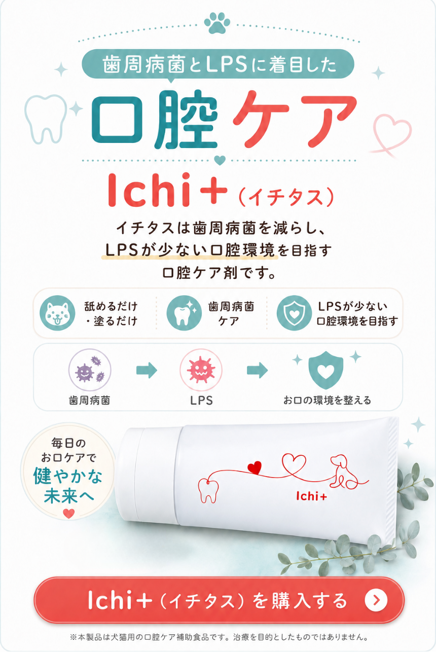 Ichi+（イチタス）を購入する