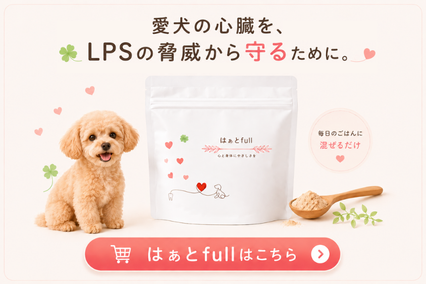 はぁとfullはこちら