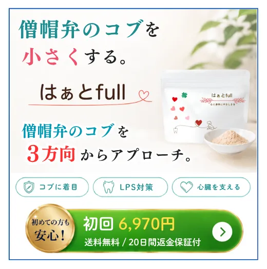 はぁとfull 初回限定案内