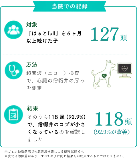 ごとふ動物病院での超音波検査による観察記録
