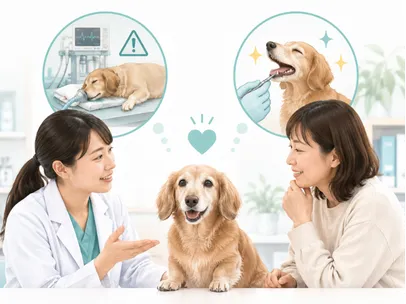 獣医師に愛犬のデンタルケアを相談する飼い主