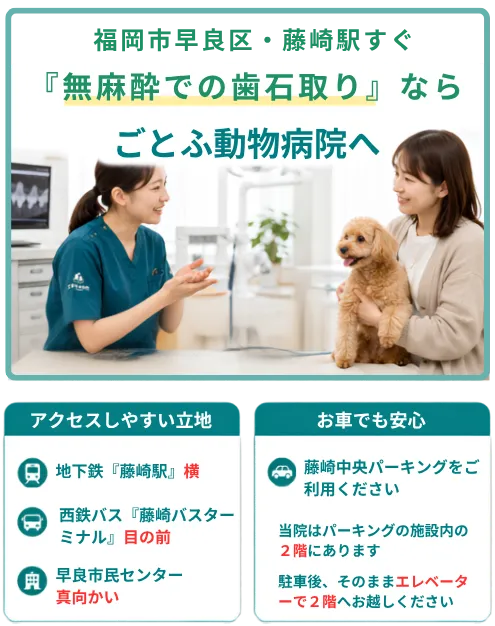 ごとふ動物病院とアクセスのご案内